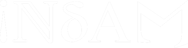 INdAM logo